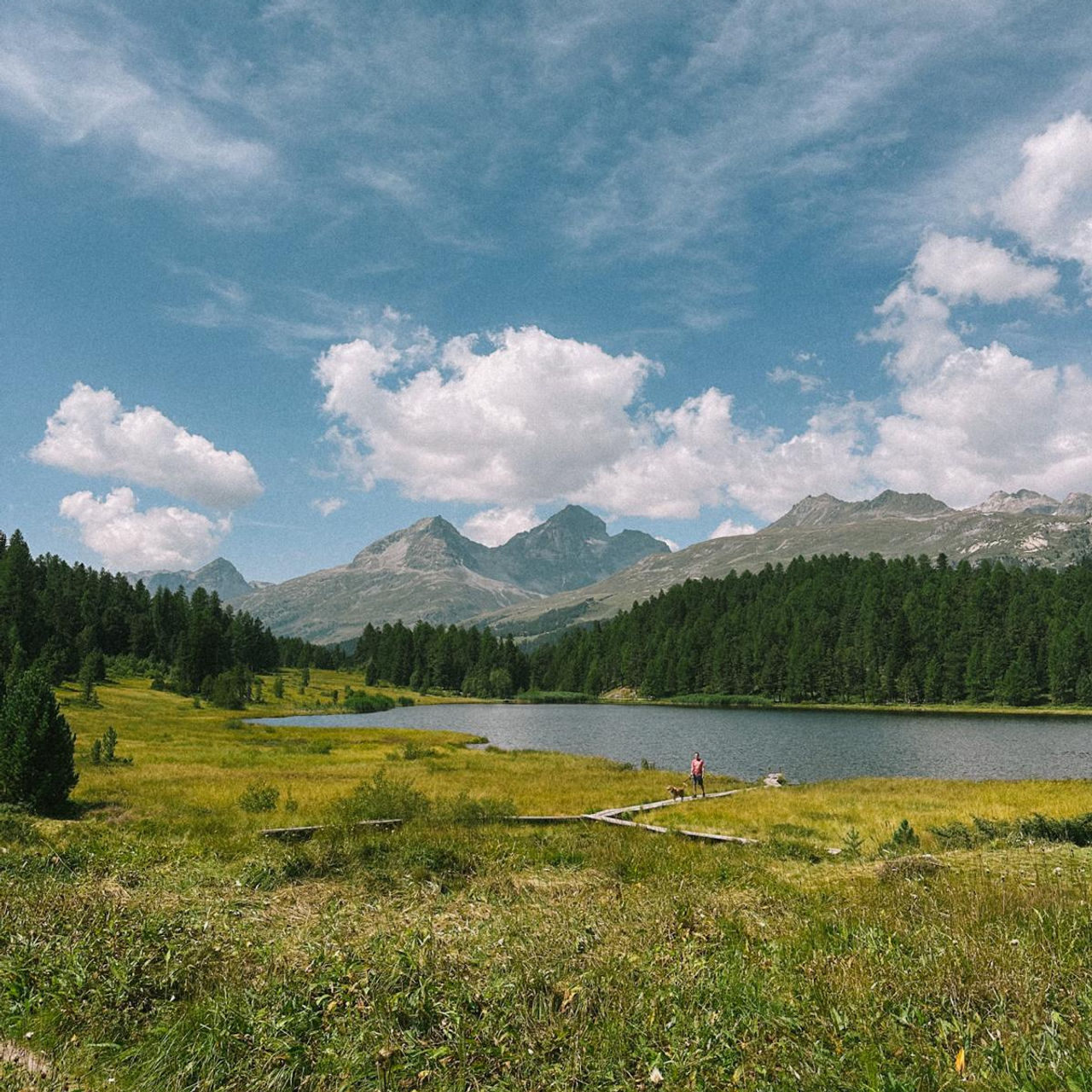 Summer lake walk